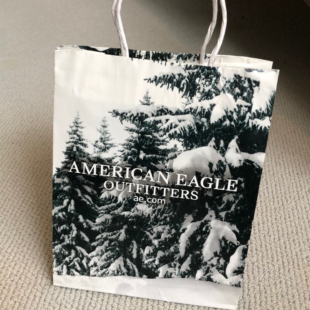 American Eagle Outfitters ReGift Bag 🤫